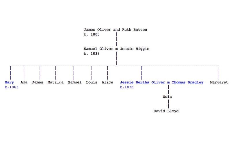 Relationship between David Lloyd, holder of this collections, his mother Nola Bradley (nee Oliver), David's grandmother Jessie Bertha Bradley (nee Oliver) 1876-1952.