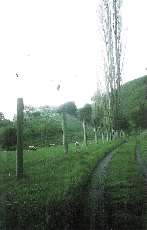 The first place James Higgie lived. and perhaps later something to do with Olivers.