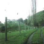 13-First-place-James Higgie-lived.jpeg