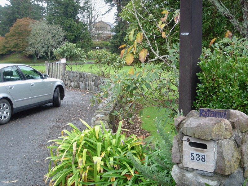 535 Carrington Road, Hurworth, just past Atkinson Road from New Plymouth. A house in background Josie Barras thought an Oliver house may have been.