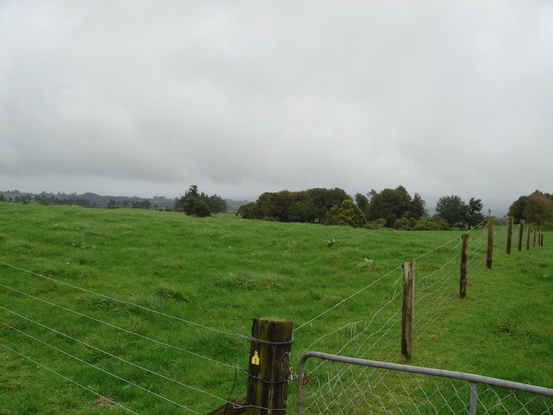 Another view of the 100 acres for daughter Jessie and her husband George Herbert.