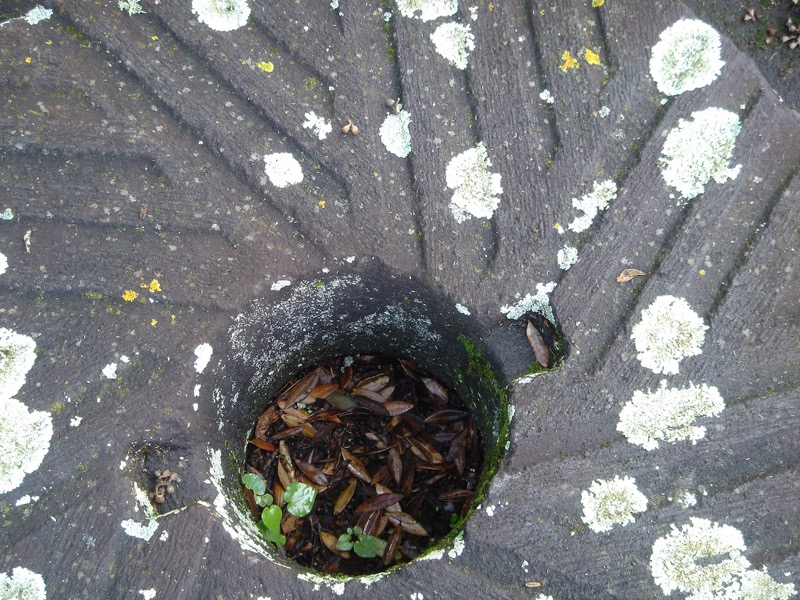 Close-up of mill stone, cut from local granite, from Samuel Oliver's (1819-1873) Alpha Mill.