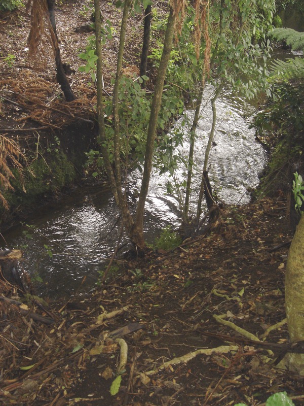 Mangaotuku Stream, which powered the Union Mill in Queen Street and near Young Street, New Plymouth, and is beside the site of the Alpha Mill Stones shown previously.